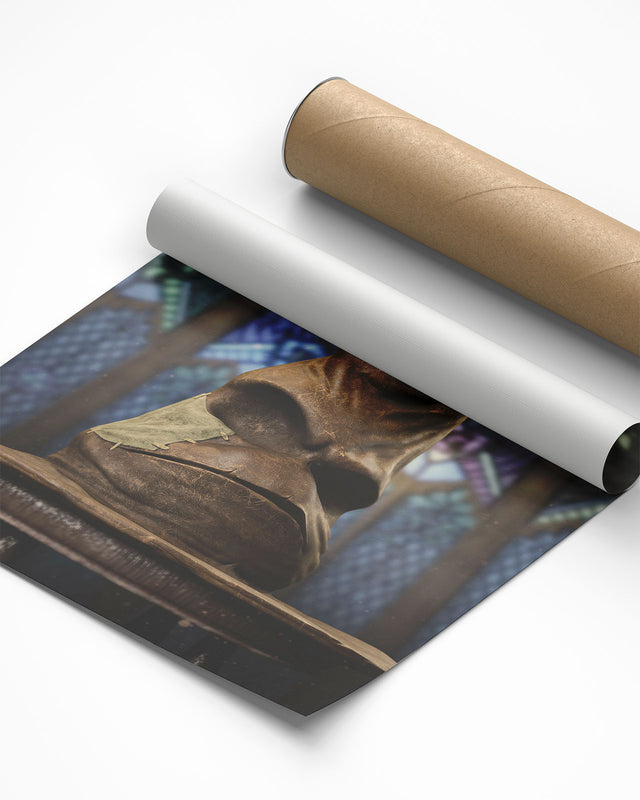 Sorting Hat Premium Print